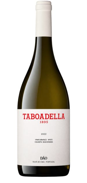 Taboadella Unoaked Blanc